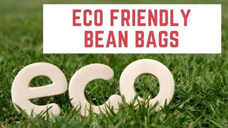 environmentally friendly bean bags
