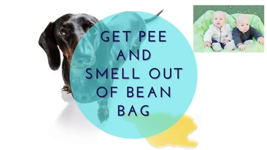 get pee out of bean bag