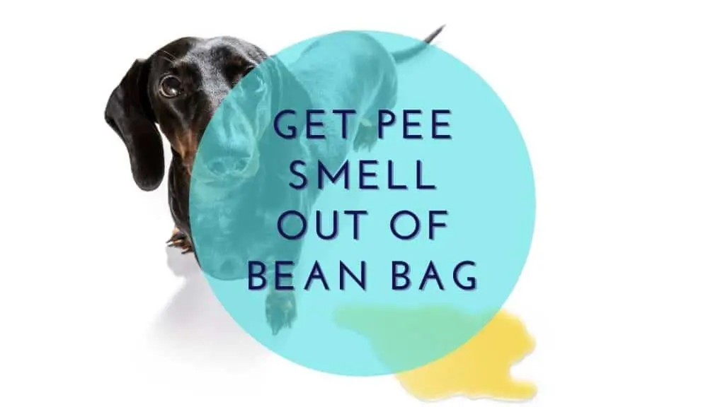 get pee smell out of bean bag