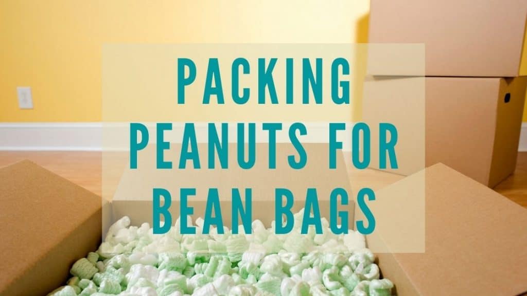 packing peanuts for bean bag