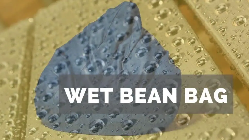 wet bean bag