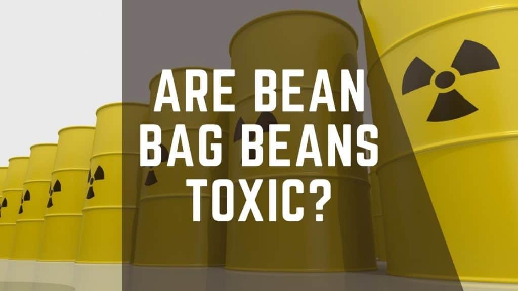 Are bean bag beans toxic