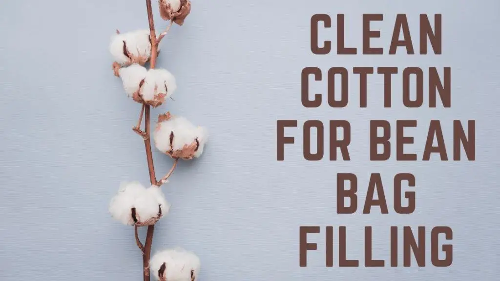 clean cotton bean bag filling