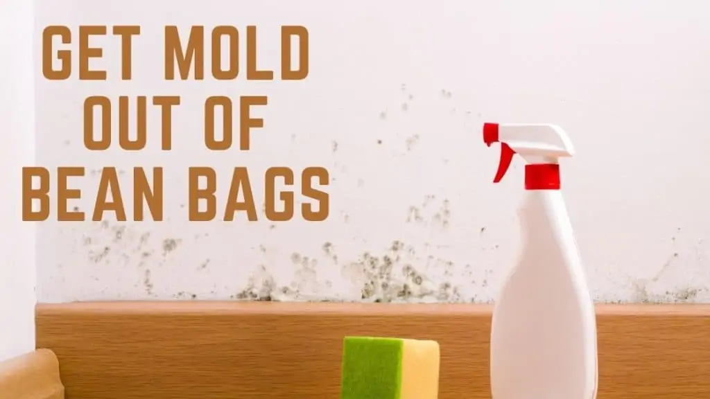 clean mold bean bags