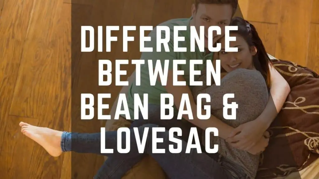 Difference Between Bean Bag and LoveSac
