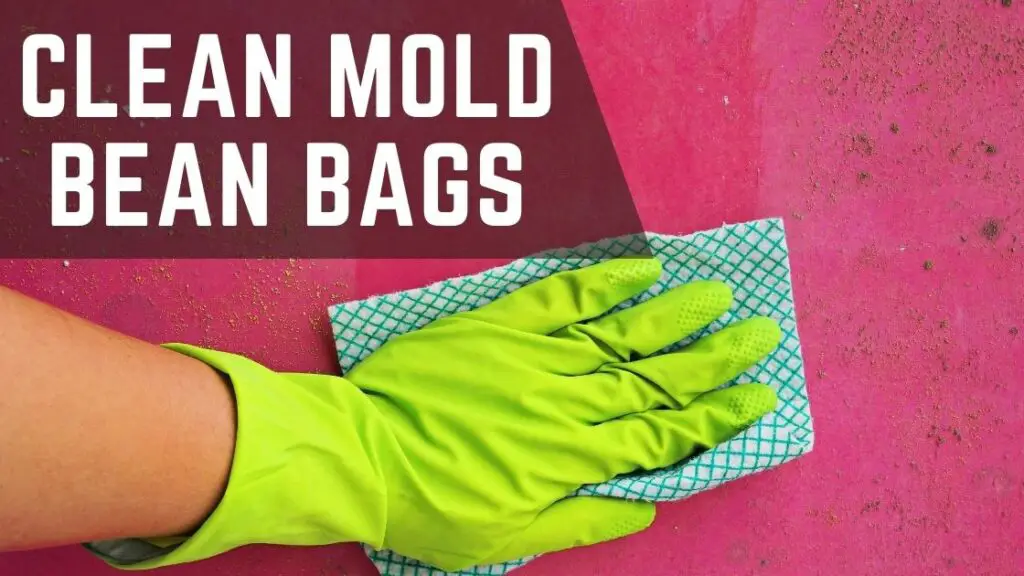cleaning mold bean bags